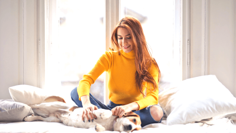 pet-sitting business ideas for college students