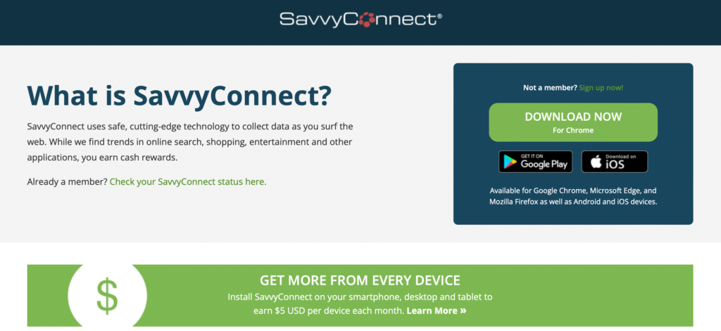 savvy connect browser data