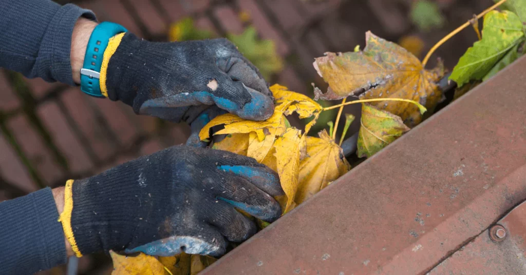 gutter cleaning job