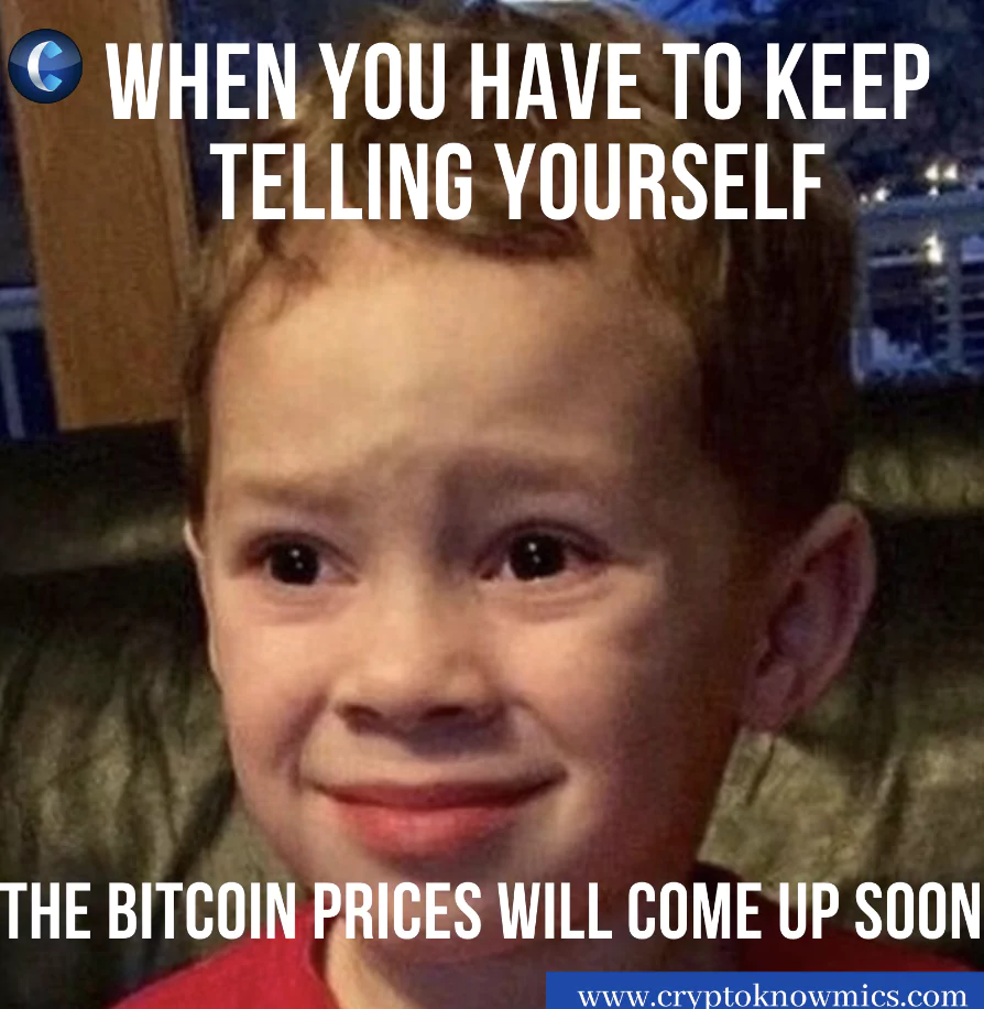 cryptocurrency memes 15