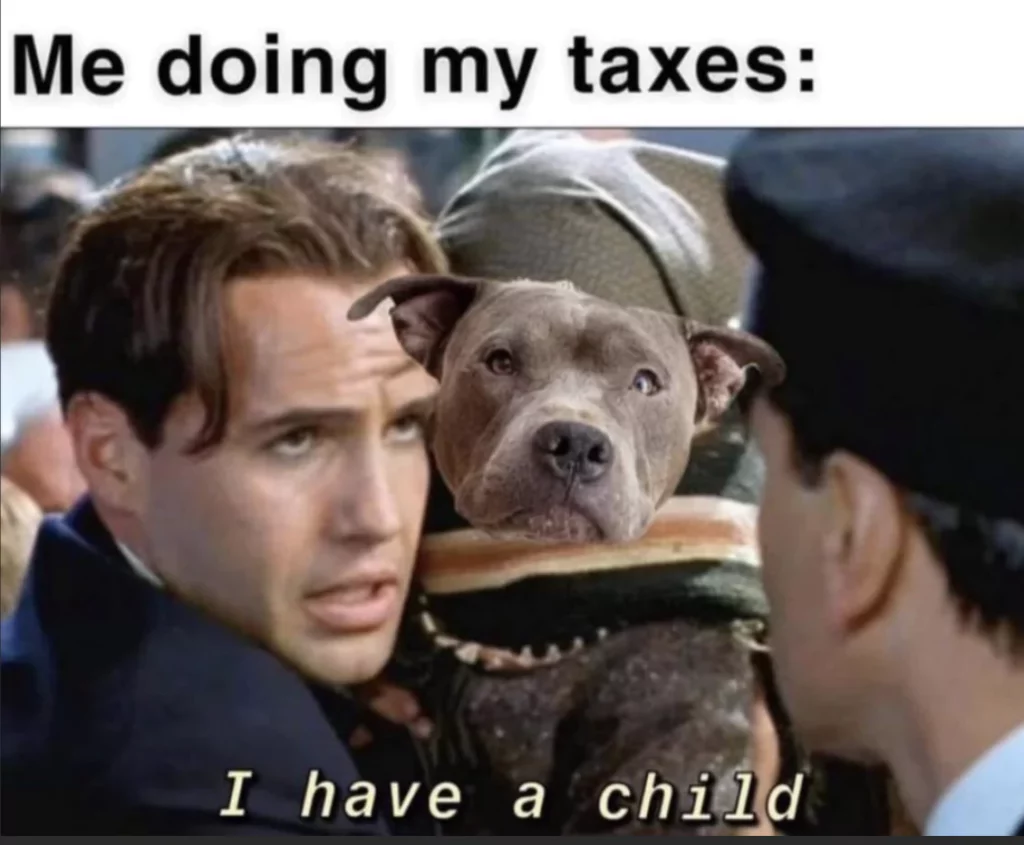 Tax memes 12